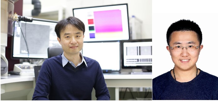 Prof. Sang Ho Oh and his team made for the first time an atomic-scale observation of oxygen diffusion pathways in a perovskite using operando high-resolution electron microscopy