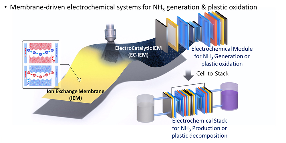 Membrane-assistant (photo)electrochemical systems for NH3 generation & plastic oxidation