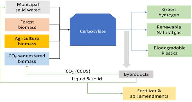 Municipal solid waste, Forest biomass, Agriculture biomass, CO2 sequestered biomass -> Carboxylate -> Green hydrogen, Renewable Natural gas, Biodegradable Plastics, Byproducts(CO2 (CCUS)) Liquid & Solid Fertilizer & soil amendments